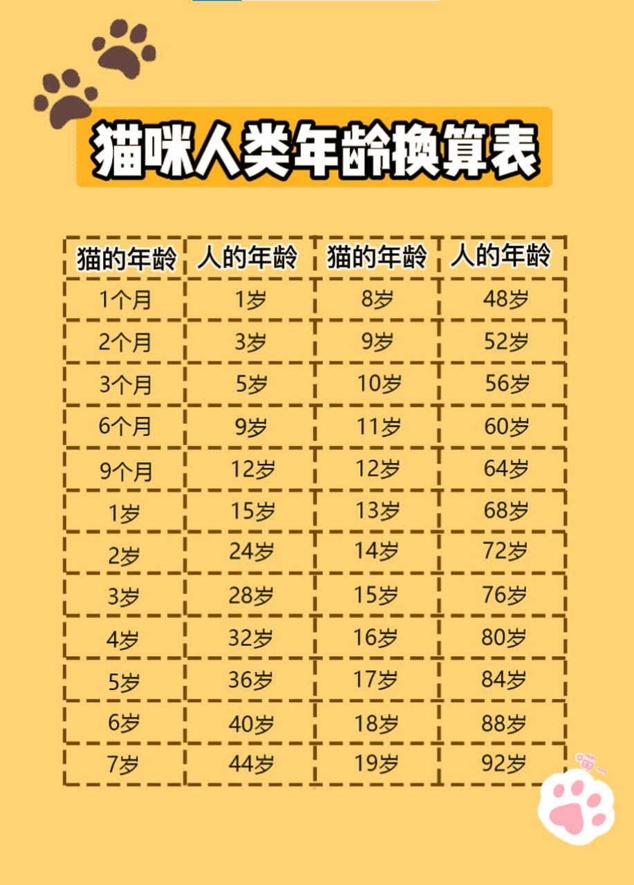 猫5岁＝人36岁，任何人在这个年纪了都会被说一句英年早逝，不存在五岁猫去世长寿的