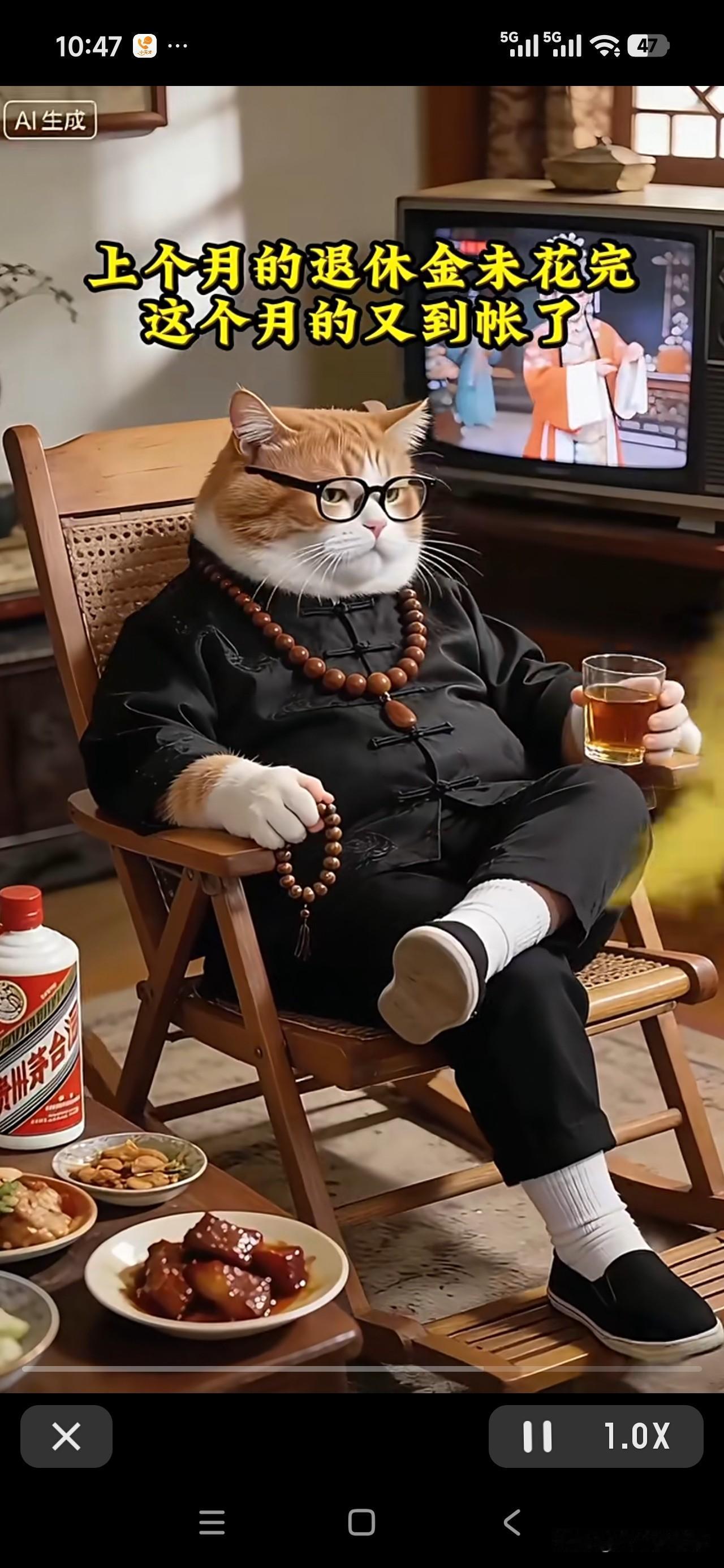 退休后的感觉真好，春节前的小年这一天，2月份的养老金提前半个月发放到账了，感谢政