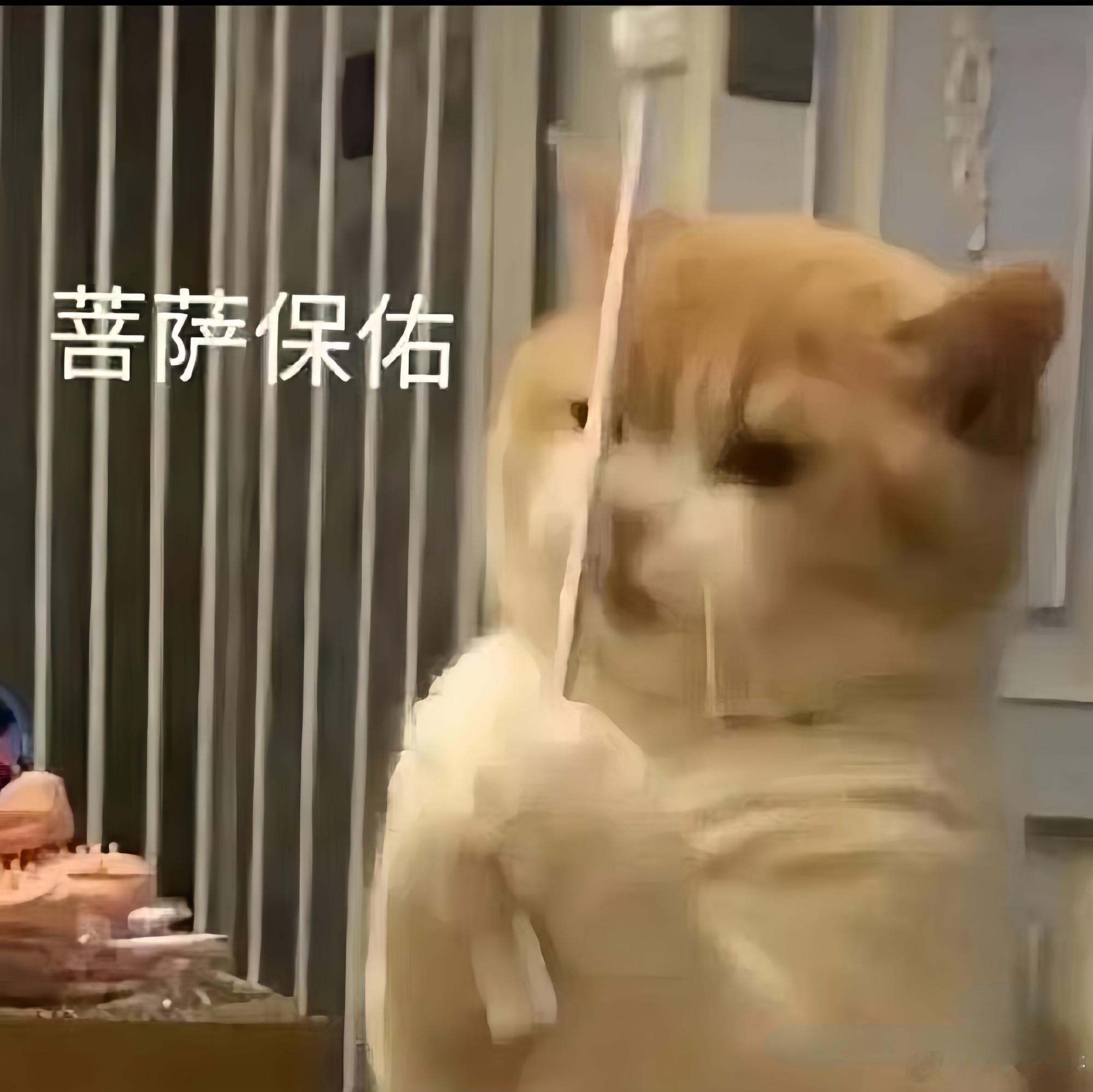 长春一载孕妇小车坠入冰河超2天 我的天，两天多了，还能活吗？冰面没有冻结实，承载