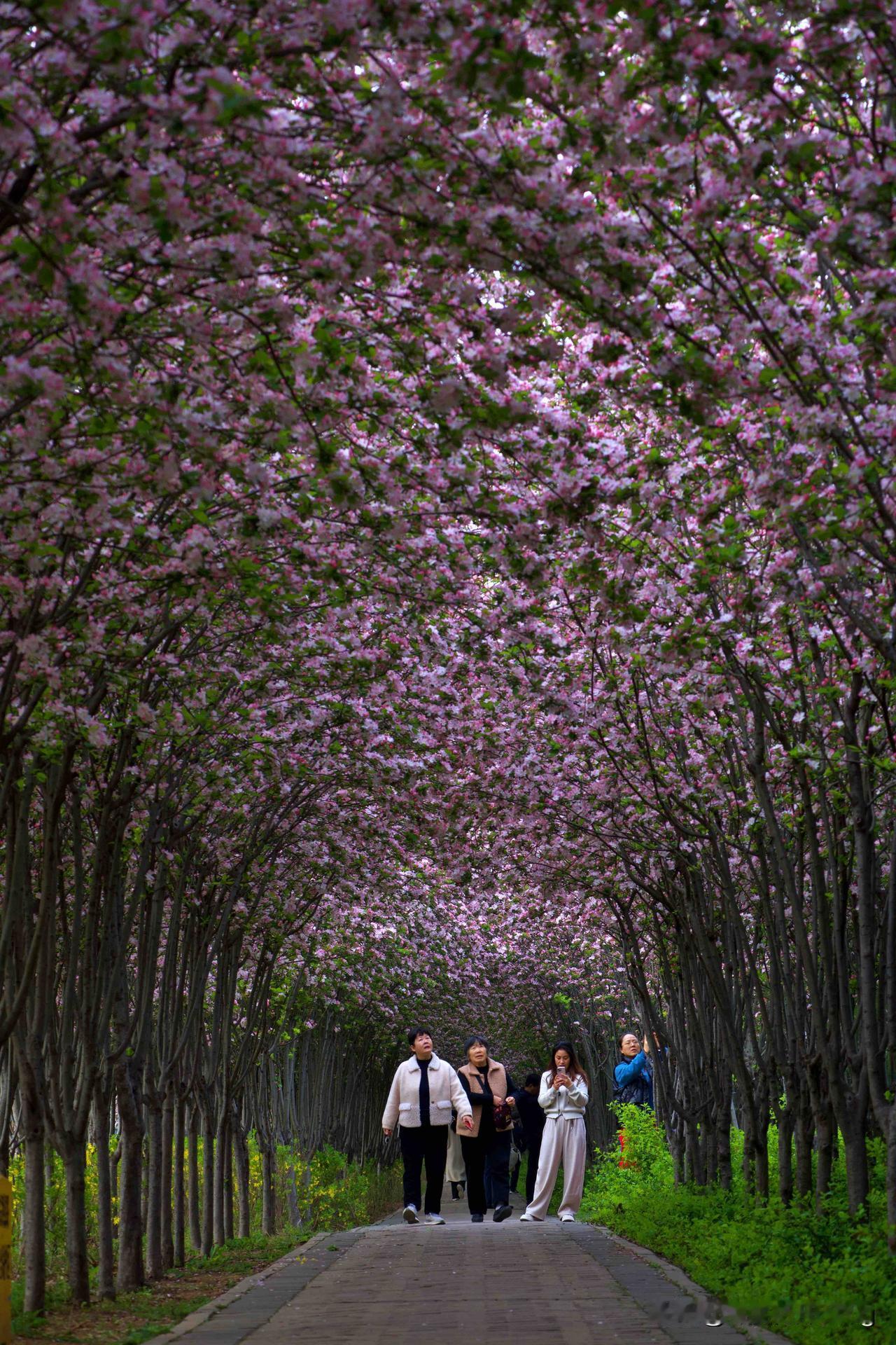 拍照是为了留住美好瞬间
拍照，其实是在和未来的自己对话：我把此刻的美好寄存在这里