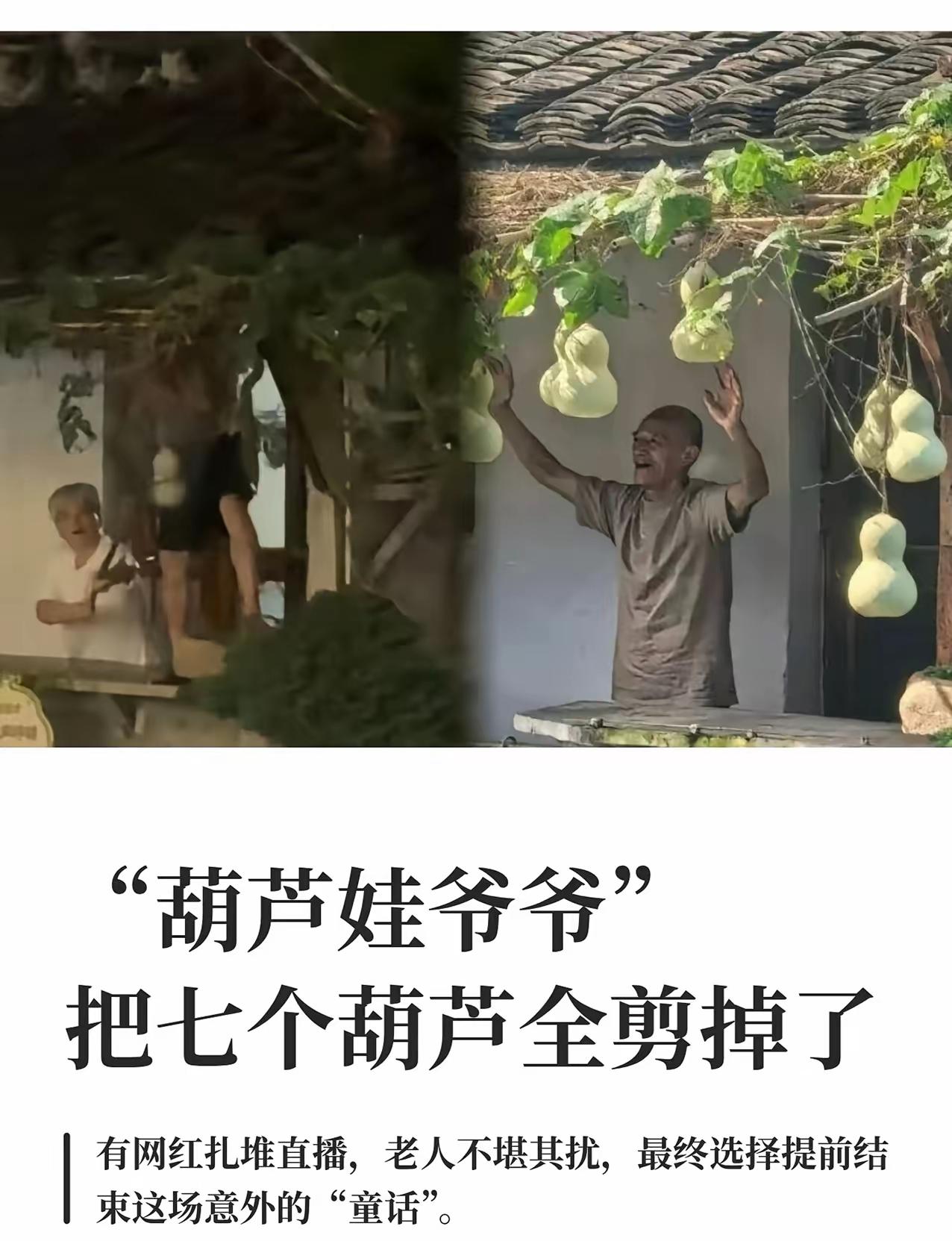 山东一位75岁的爷爷，在自己院子里种了几棵葫芦，藤上结了七个。老人家平时就图个乐