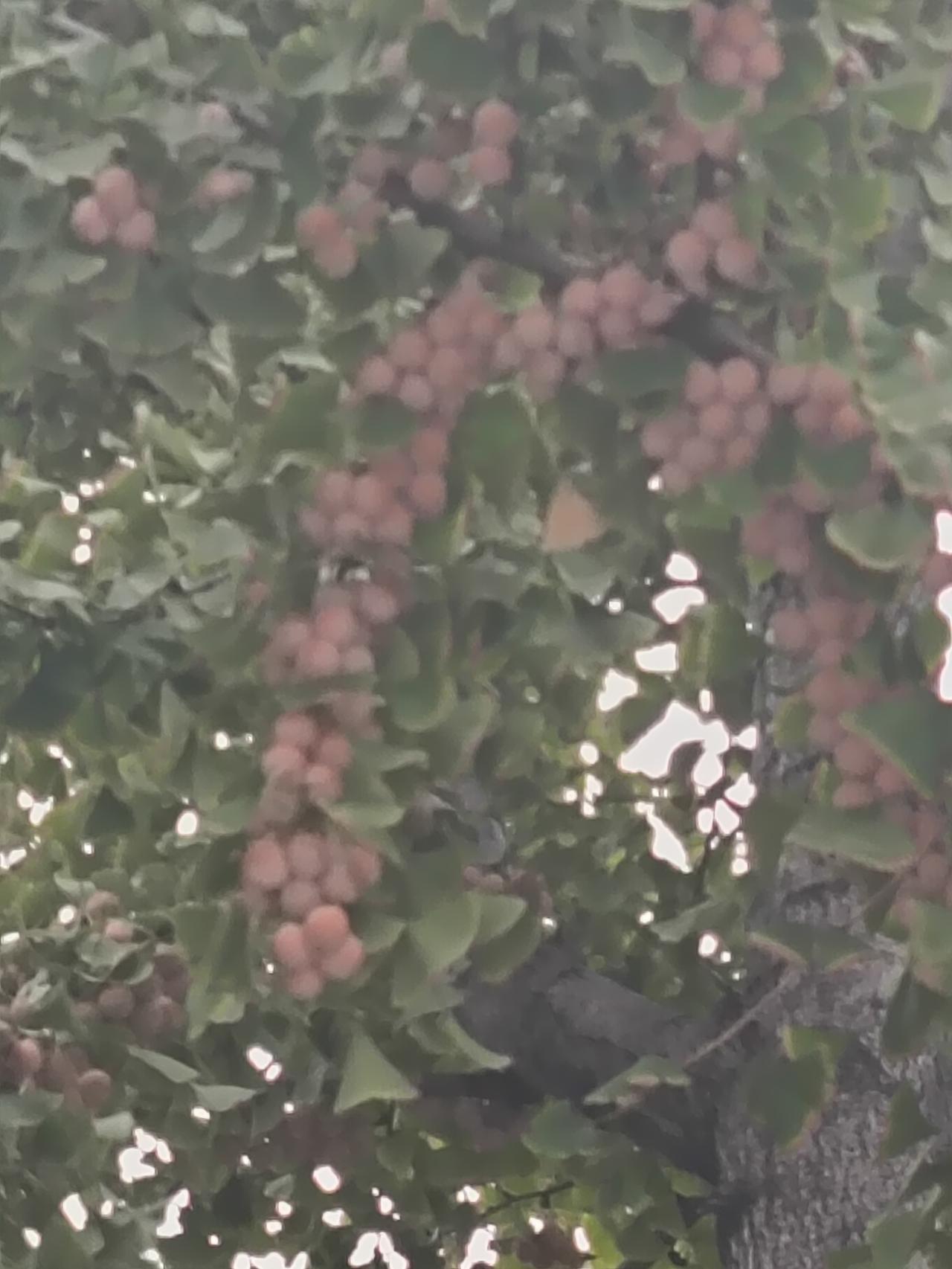 我的10月关键词金秋十月收获满满！