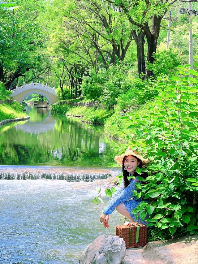 不愧是北京小江南，藏在市区的绿光森林🌳
