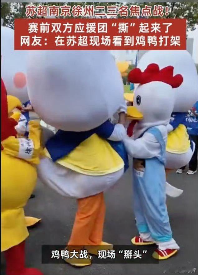 起猛了在苏超看见鸡鸭打起来了救命！起猛了还以为眼花了，苏超赛场居然上演“鸡鸭大战