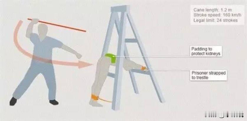 为阻止激增的欺诈案件 新加坡将从12月30日起对骗子处以24鞭的惩罚

--新加