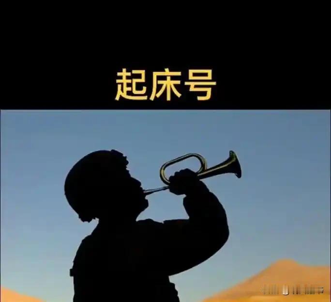 我没有睡过早床，也不知其滋味


今天是八一建军节，应季应景也要说说与军人有关的