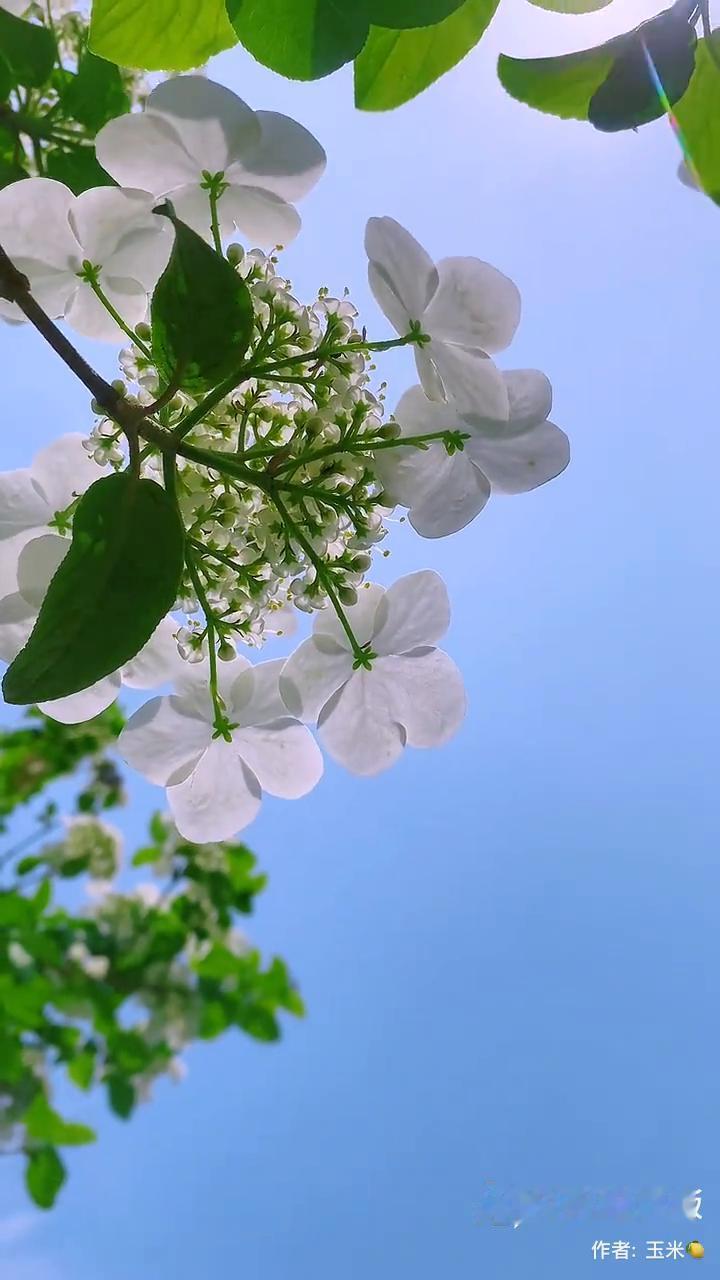 快手，拥抱每一种生活。