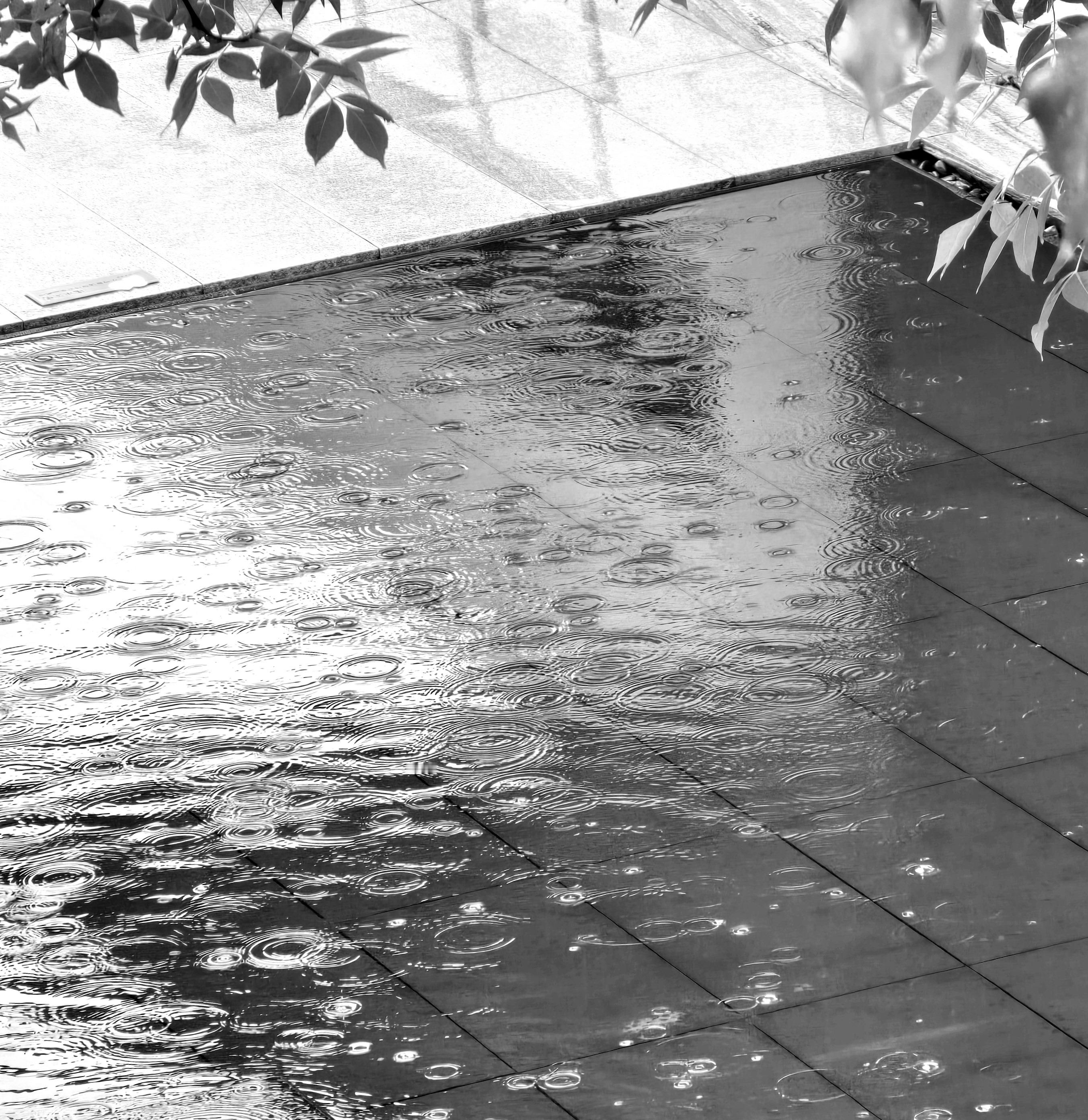 听雨，在西北近乎奢侈。 ​​​
