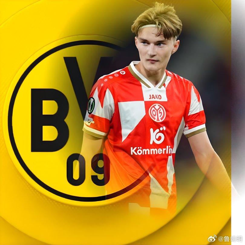 【传闻】据 fussballdaten.de 报道，美因茨中卫波图尔斯基目前位列