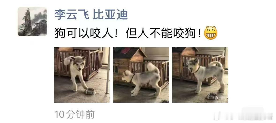 说得挺好，狗确实会咬人，比如泰迪。 ​​​