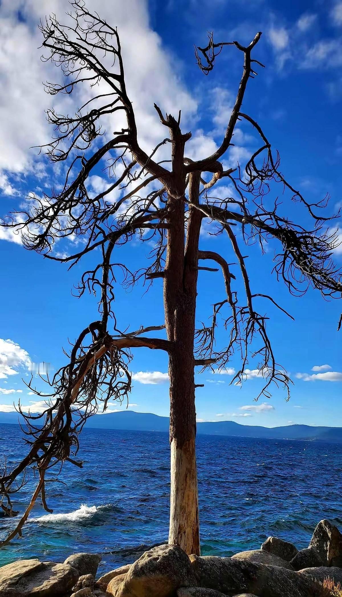挽留是最高级的自我惩罚。
你的不甘心在对方眼里，只是后台待清理的缓存数据。
宾夕