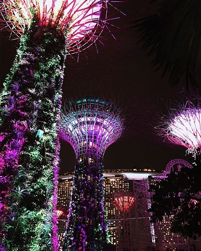 不管有没有准备好，不论是不是愿意，我们总是起步在旅途中，消失在旅途中，人生是一个