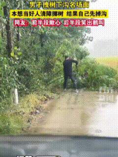 笑不活了！女子和老公开车穿越乡间小路，没走一会便看到不远处的路被折断的树枝挡住了