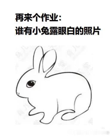 13753🐇【给测妹们布置作业】 