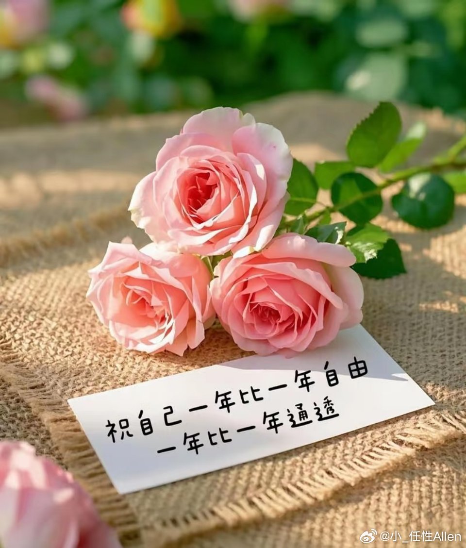 文案 许个愿 ：许你自由 愿你无忧 