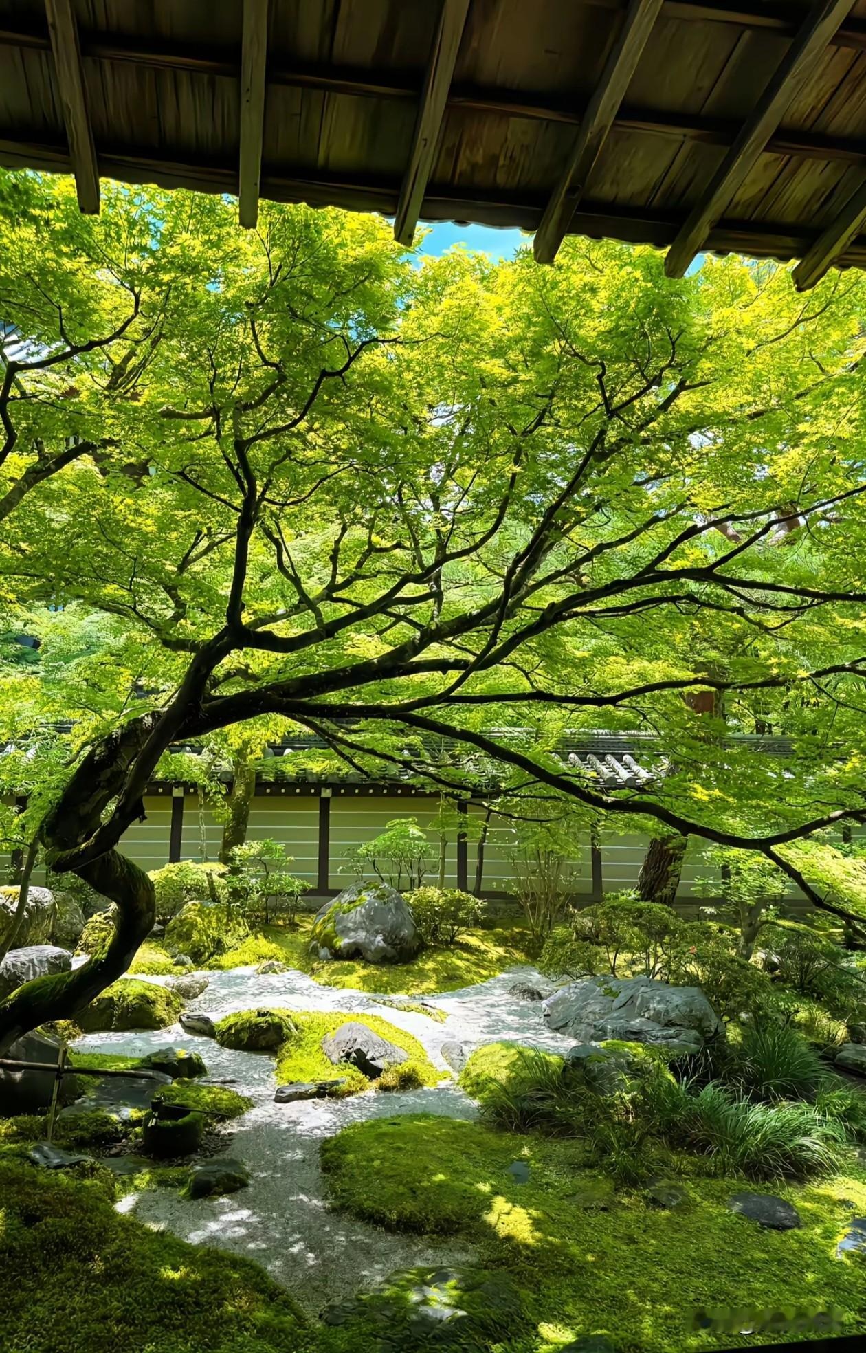 揽暮春清风，赴浅夏盛景。