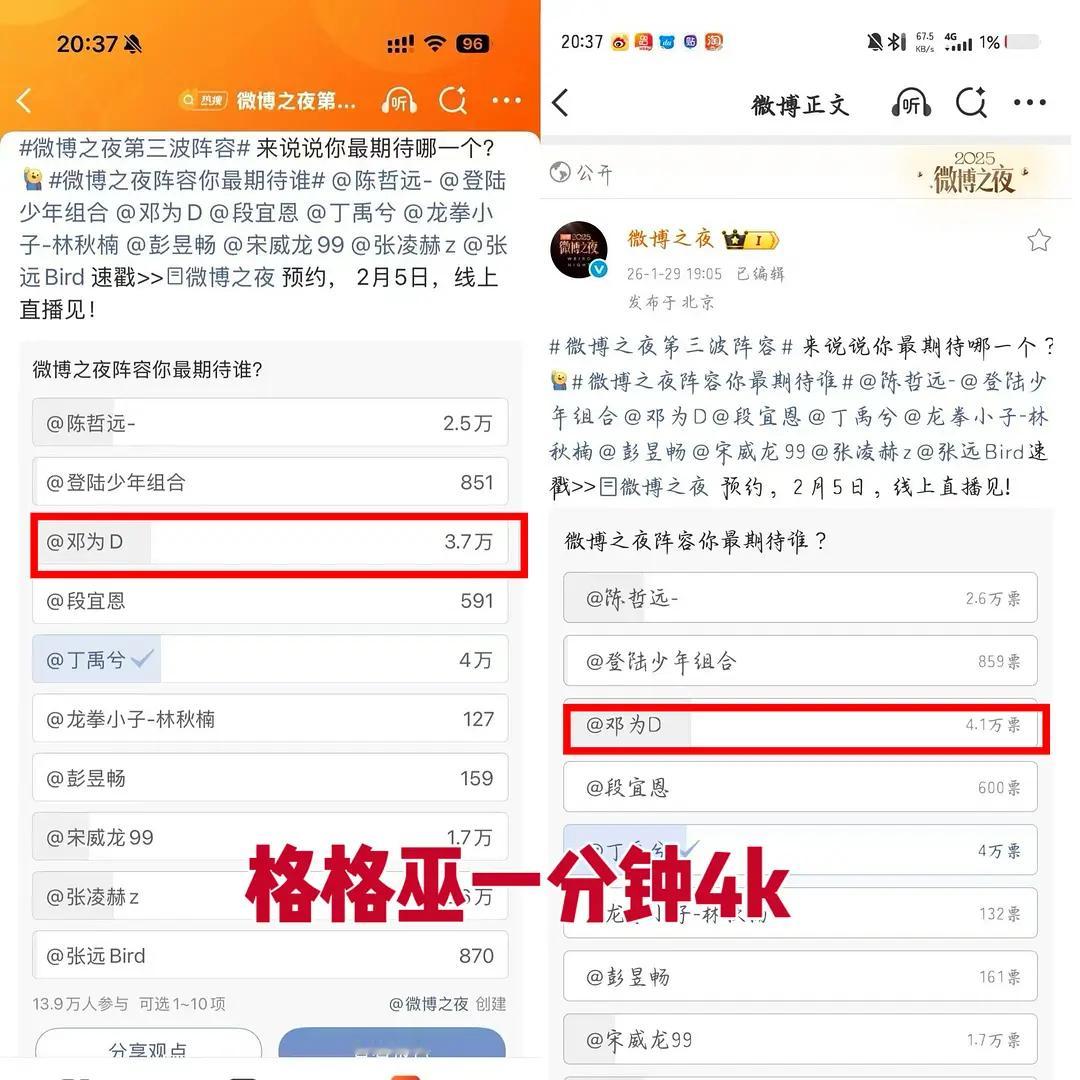 为丝一分钟4000➕投票？
