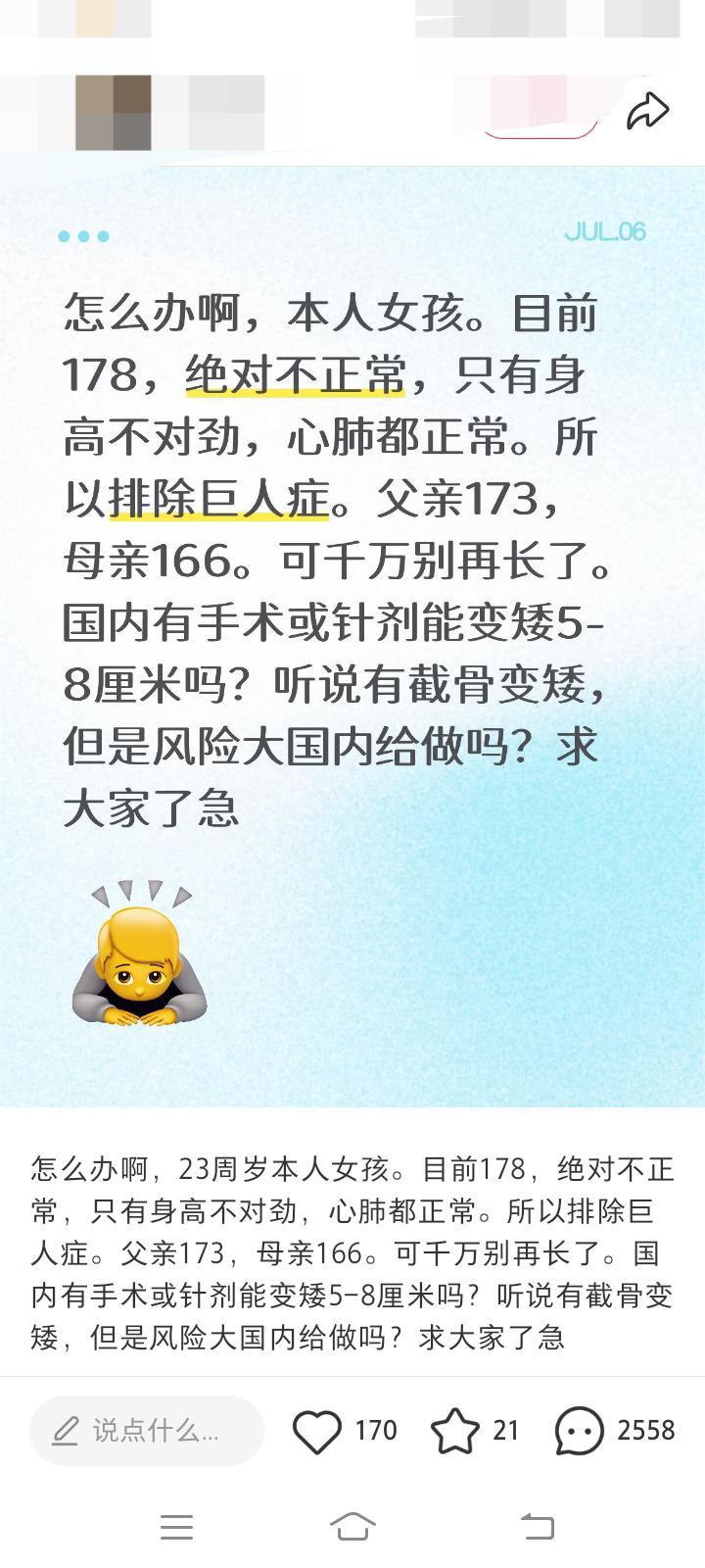 投稿 