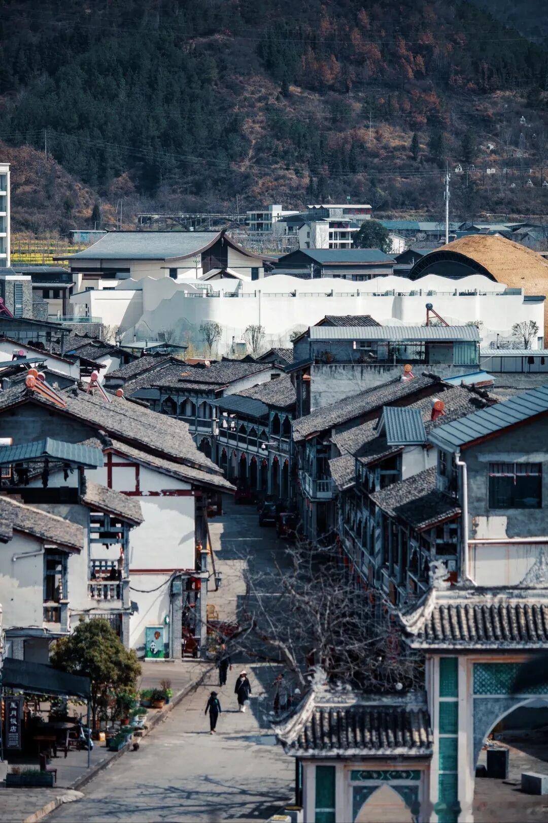 专程奔赴青川唐家河避暑，反倒被山野小动物狠狠圈粉。盛夏均温 23℃，原始森林吸氧