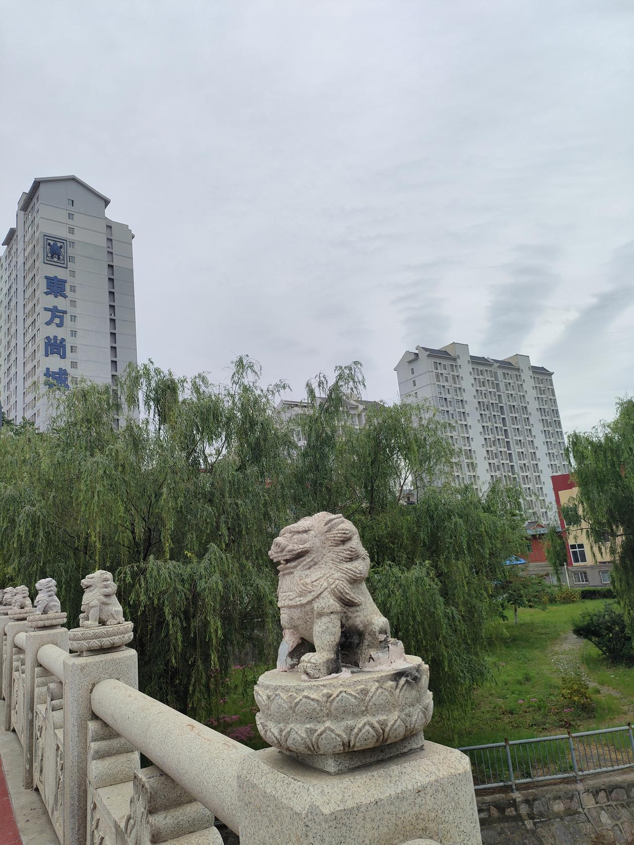 城市一角图片分享石桥石狮守着岁月，垂柳轻拂市井风光。古韵石雕与现代高楼相映，新旧