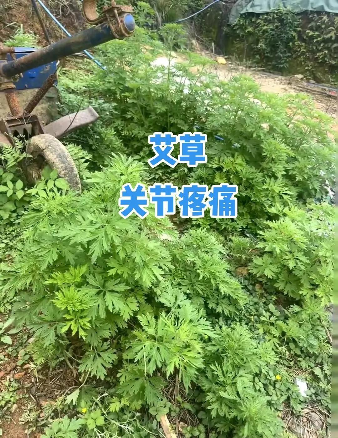 一路追分绝不放弃！孙颖莎上演10分绝地反击赛点极限拉扯，对手失误送良机莎莎稳住心