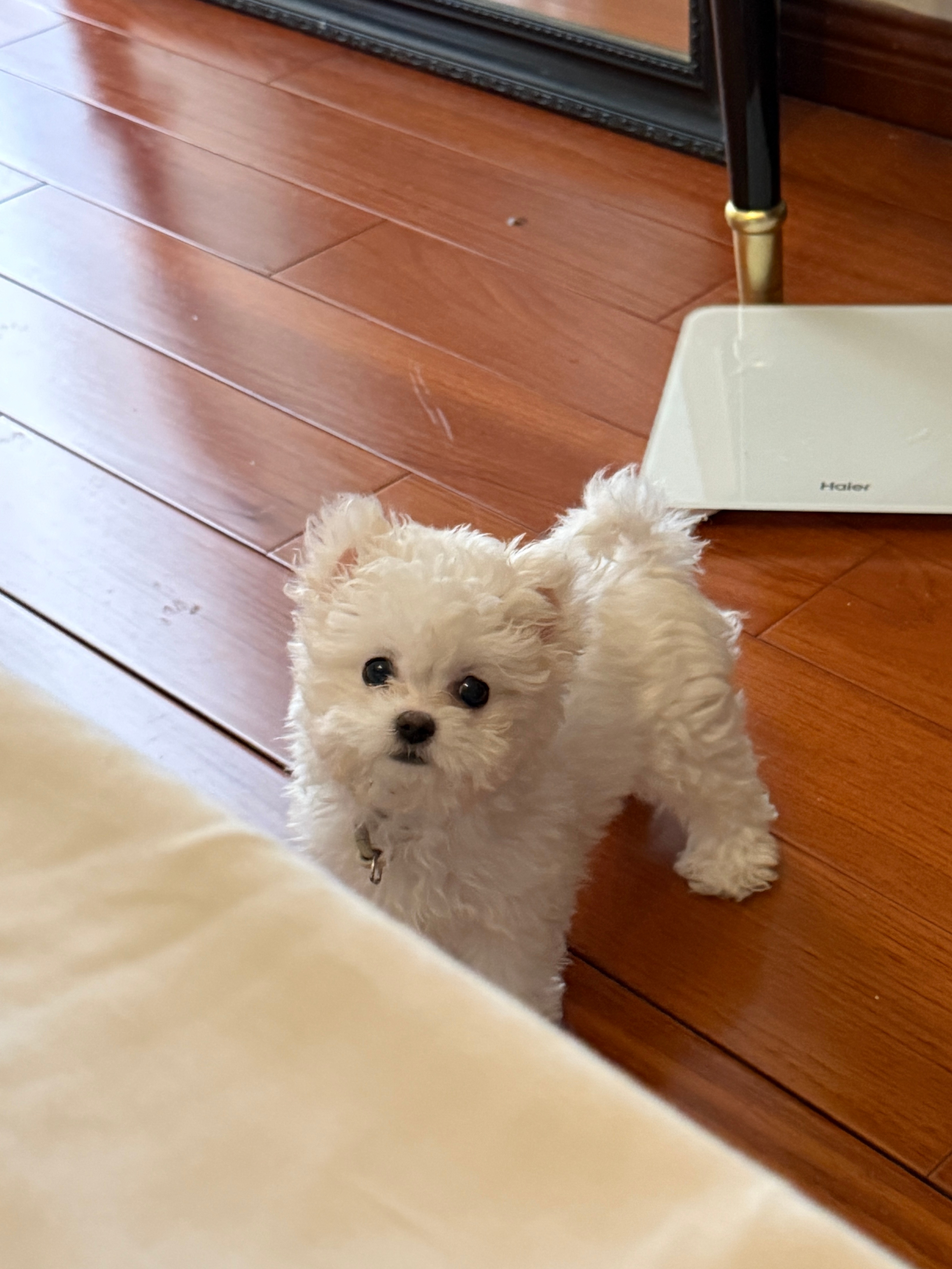 修狗乖乖🐶 