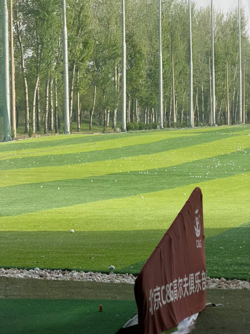 好为人师的中登和北京春天的柳絮毛一样多且让人窒息 