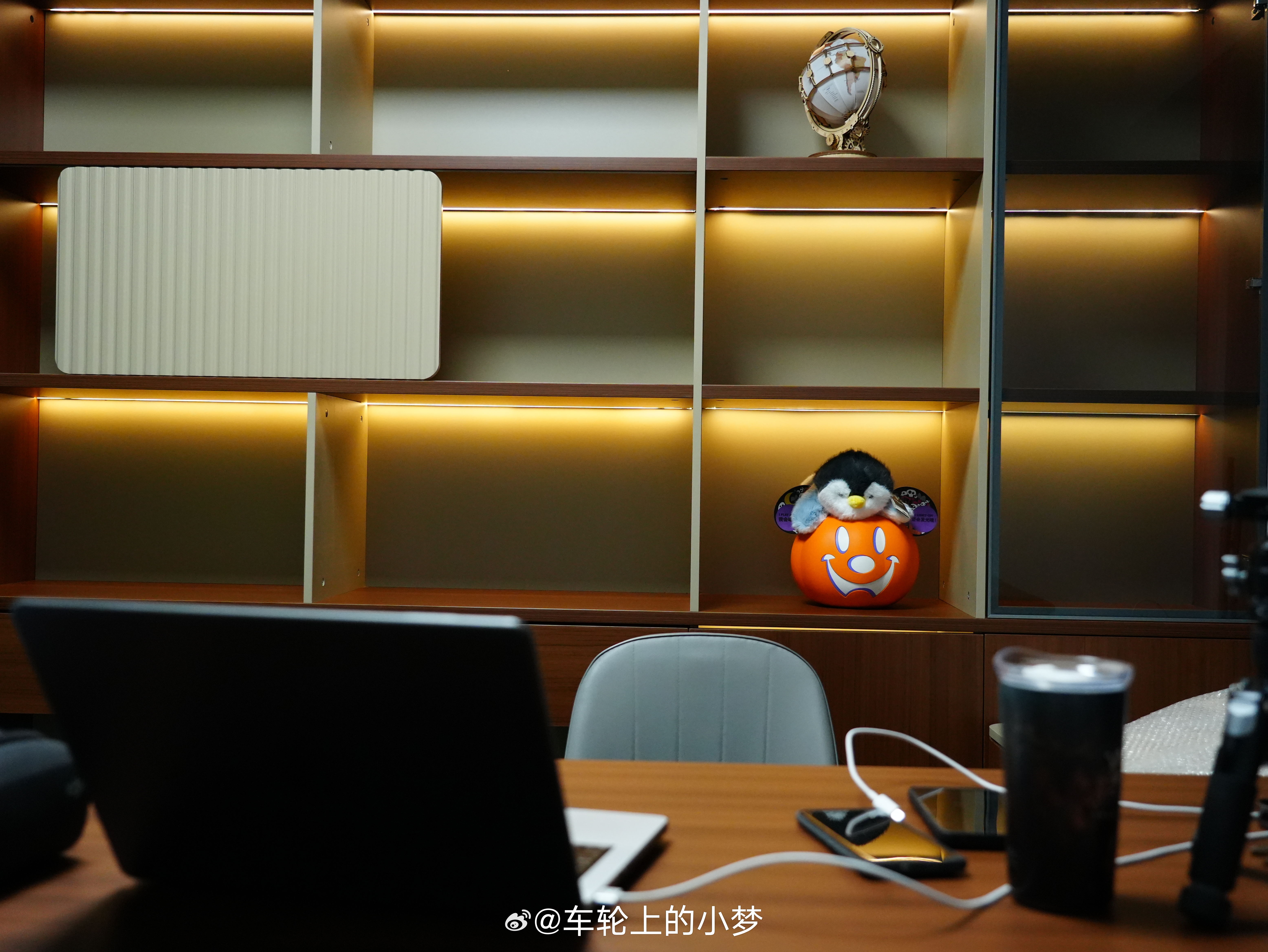 柜子上摆点什么呢？有没有哪家车企安排一下，好处就是之后所有口播视频都会亮相 小梦