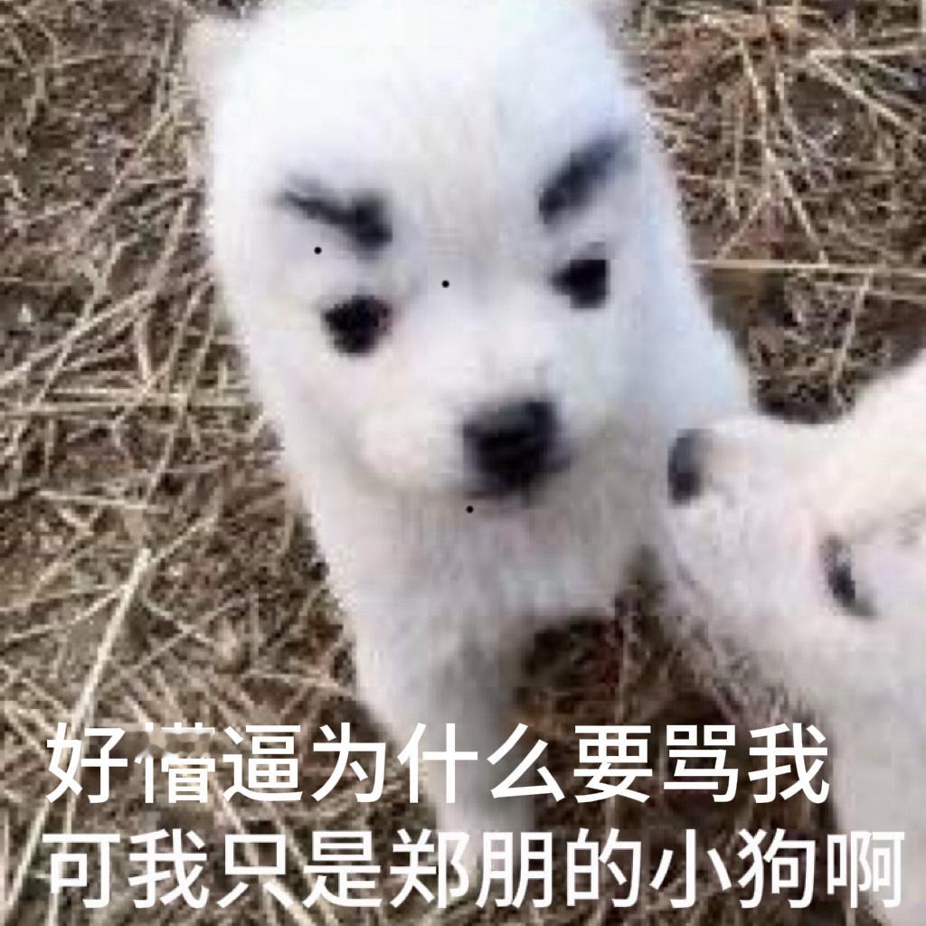刷到粗眉萌物就忍不住给他点痣 二编：严肃配字 