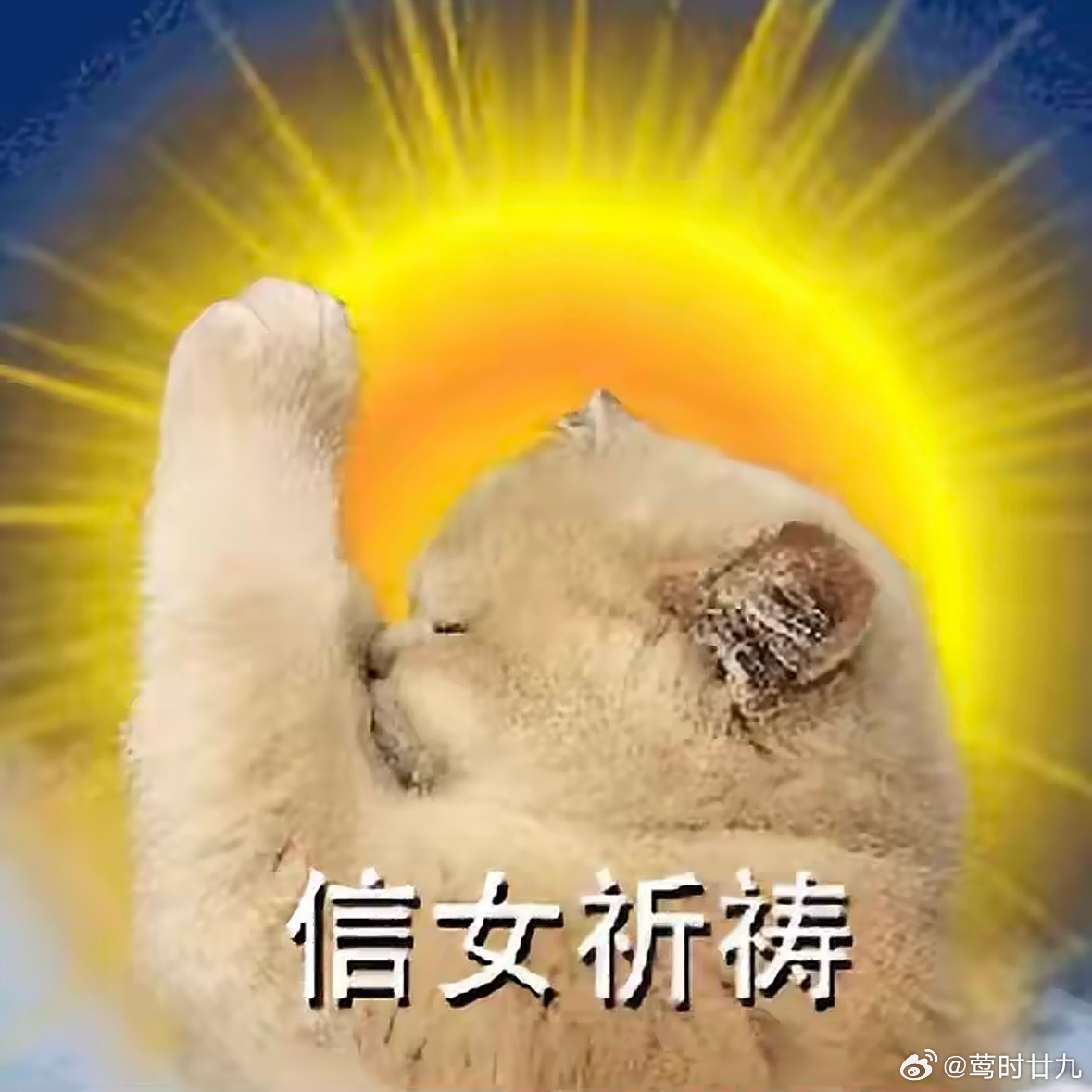 给我自己接我担的事业运（我不是不劳而获的人，我工作也很努力很认真的！！！！公司没