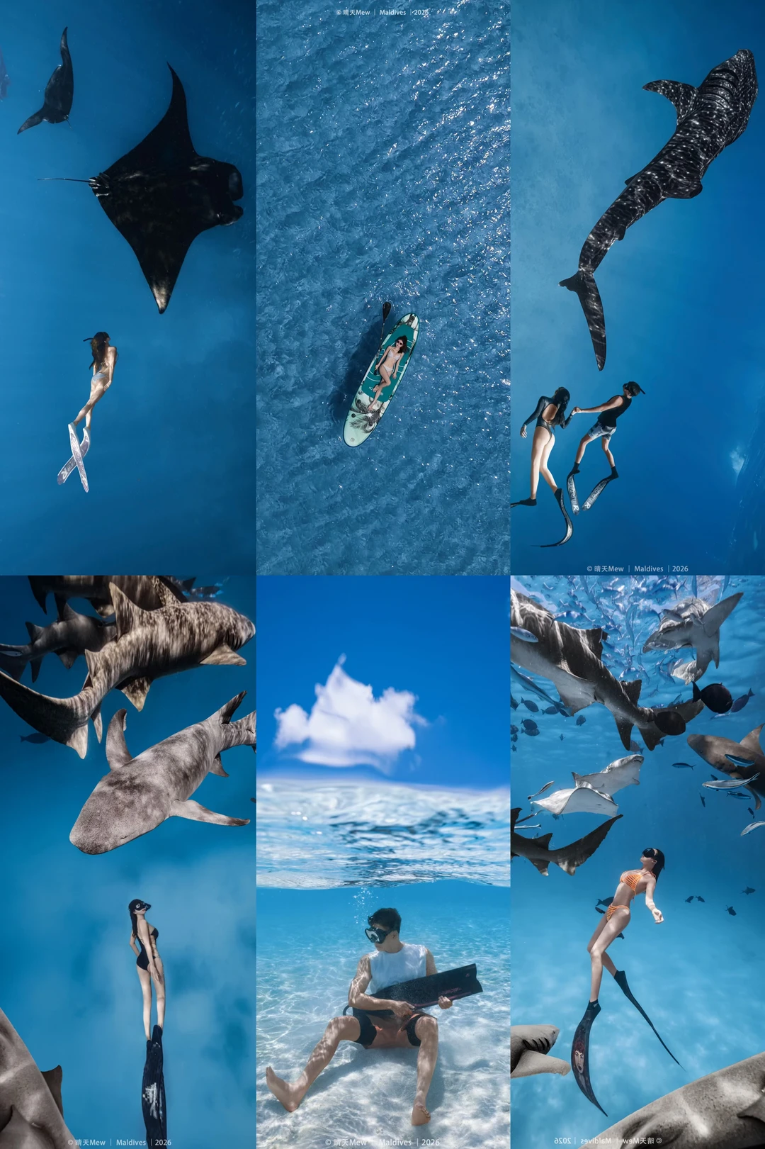 🇲🇻马尔代夫自由潜｜包船出海，拍出人生大片