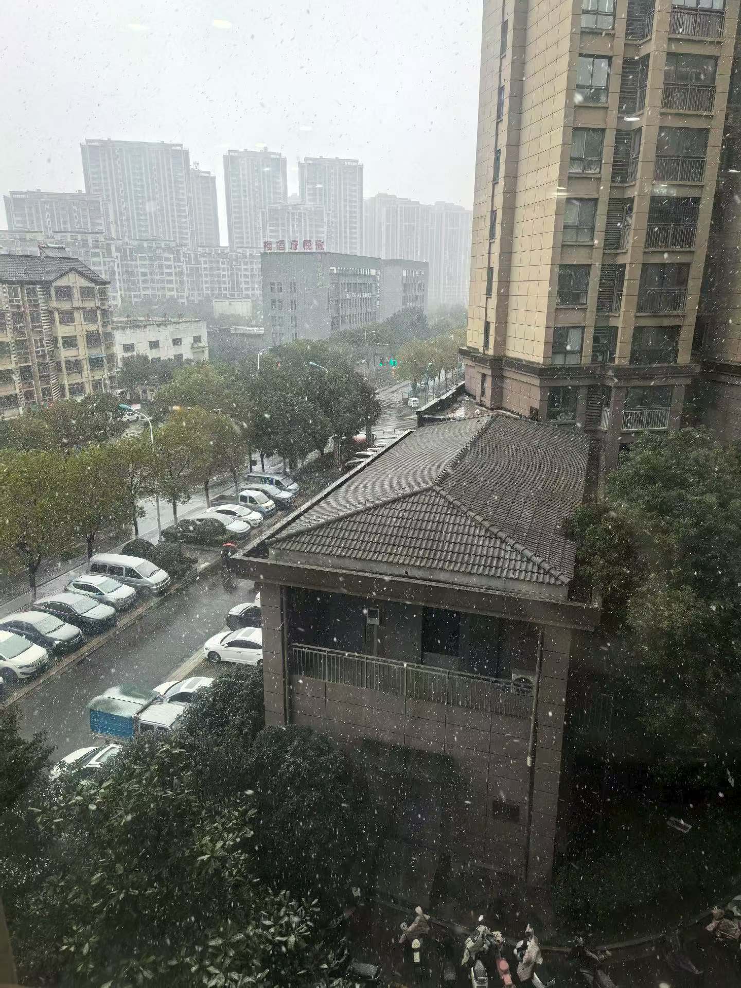 过年这天下大雪，也是一道美景