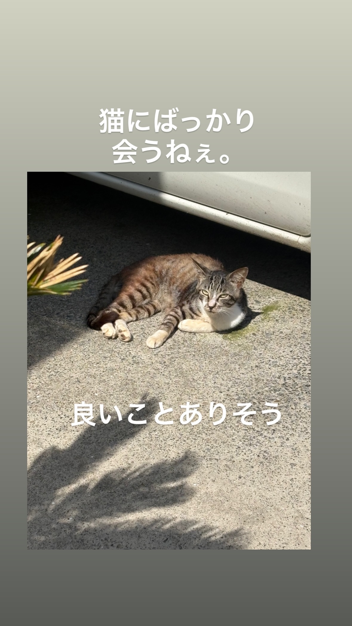 三嶋健太（ins 快拍 