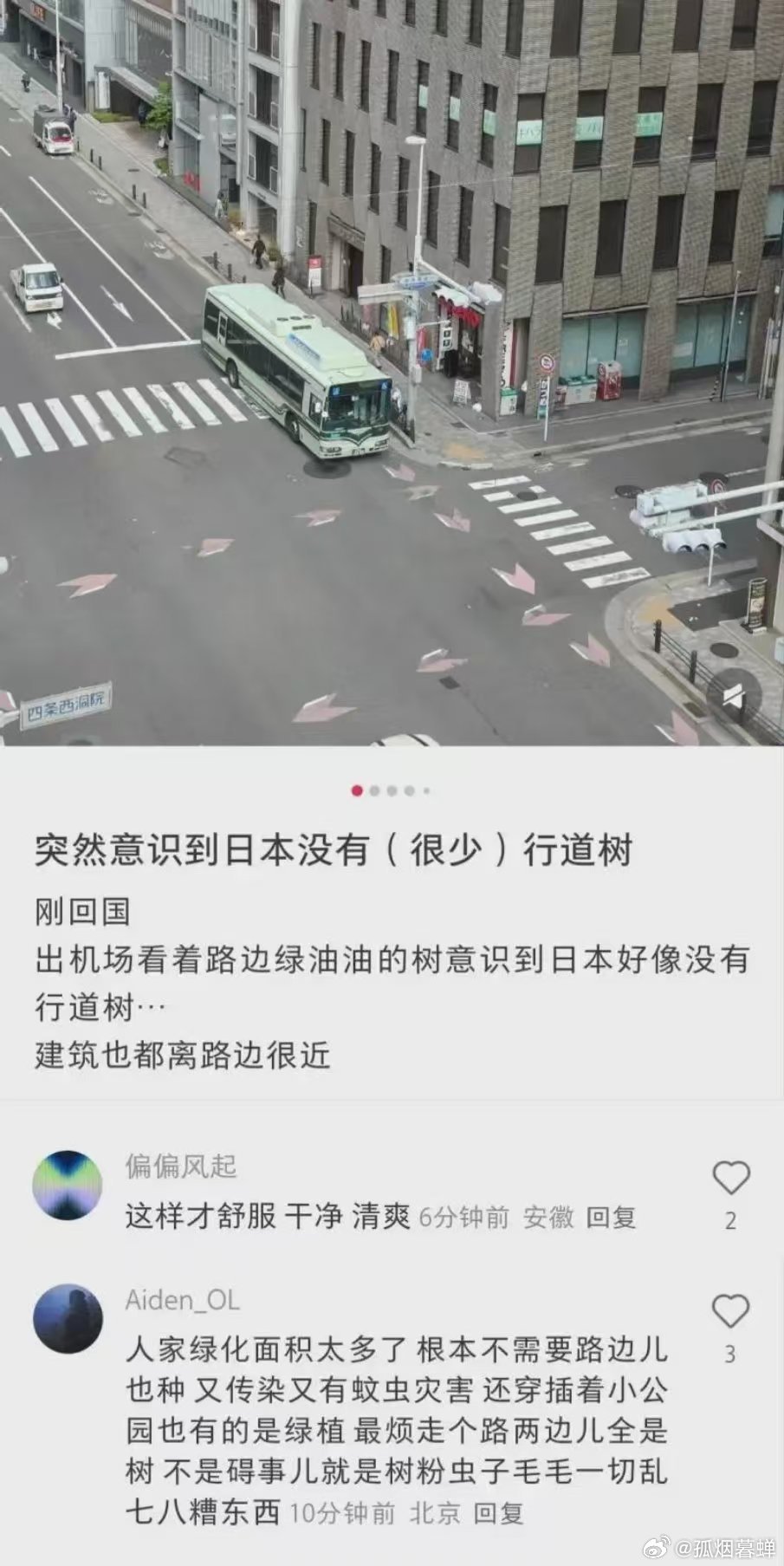 某网友：日本路边不种树，才是对的！那么问题来了，你猜日本是不想种呢，还是因为路太