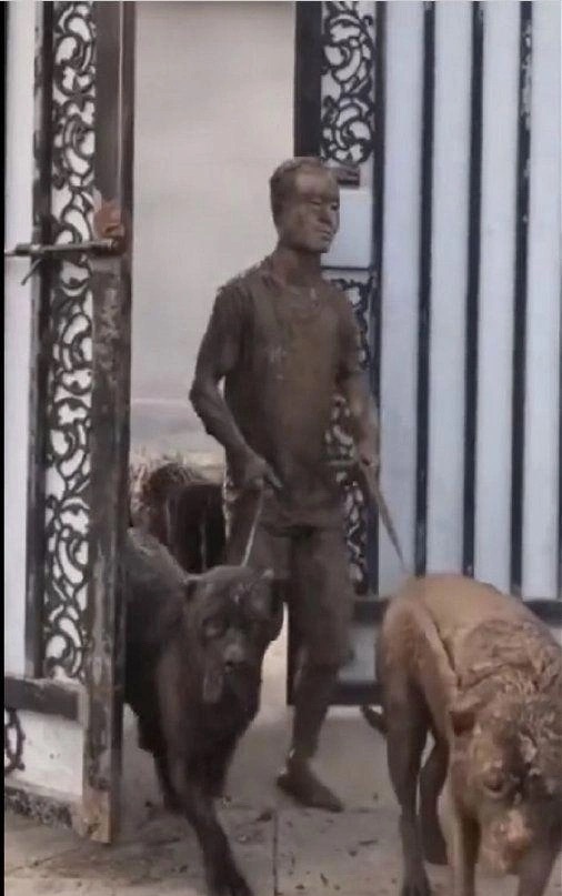 大型犬溜人后的样子。 ​​​