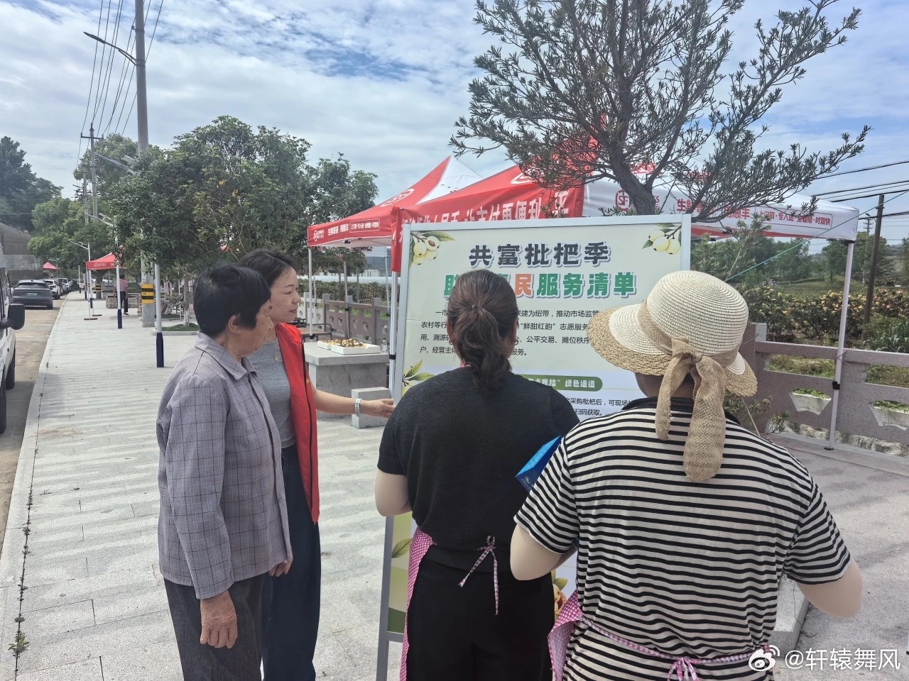 志愿搭桥擦亮宁波宁海白枇杷致富名片 初夏时节，宁波宁海白枇杷挂满枝头迎来丰收季。
