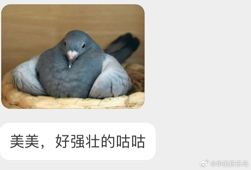 去过健身房的咕咕🙊 ​​​