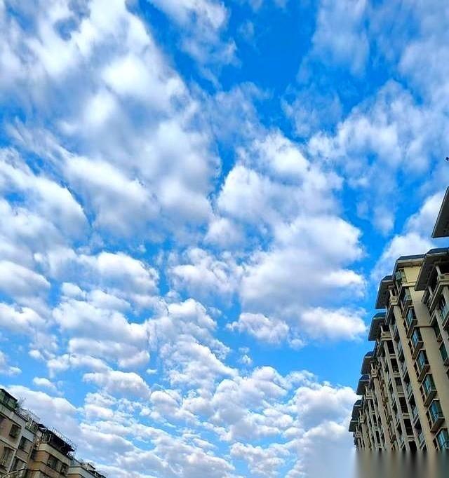 一个几百年不响的家族群，突然炸了。
堂哥就发了一行字：我爸没了。
那个我只在照片