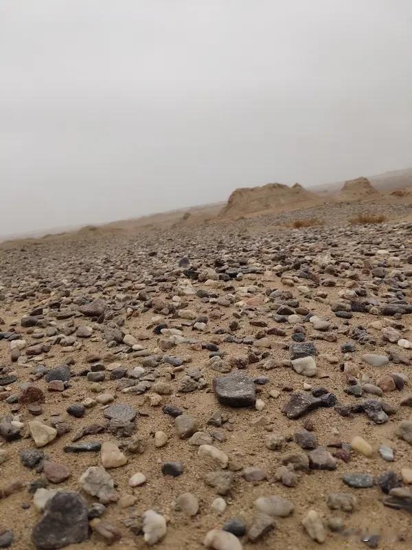 砺骨知谦·苦敛骄矜
 
少年韶华，戈壁苦寒，遍尝羁旅千般磨难。风沙磨尽骄狂，霜雪