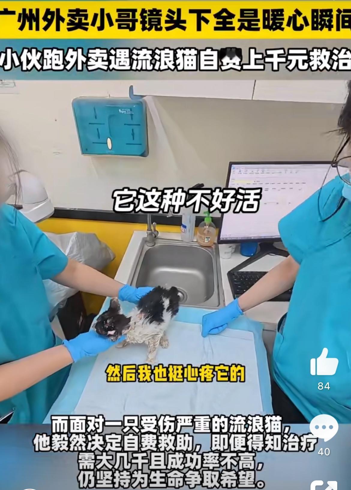 广州外卖小哥自费花千元救流浪猫，自己都活得卑微，还有闲心救猫，这是病得治。做好事