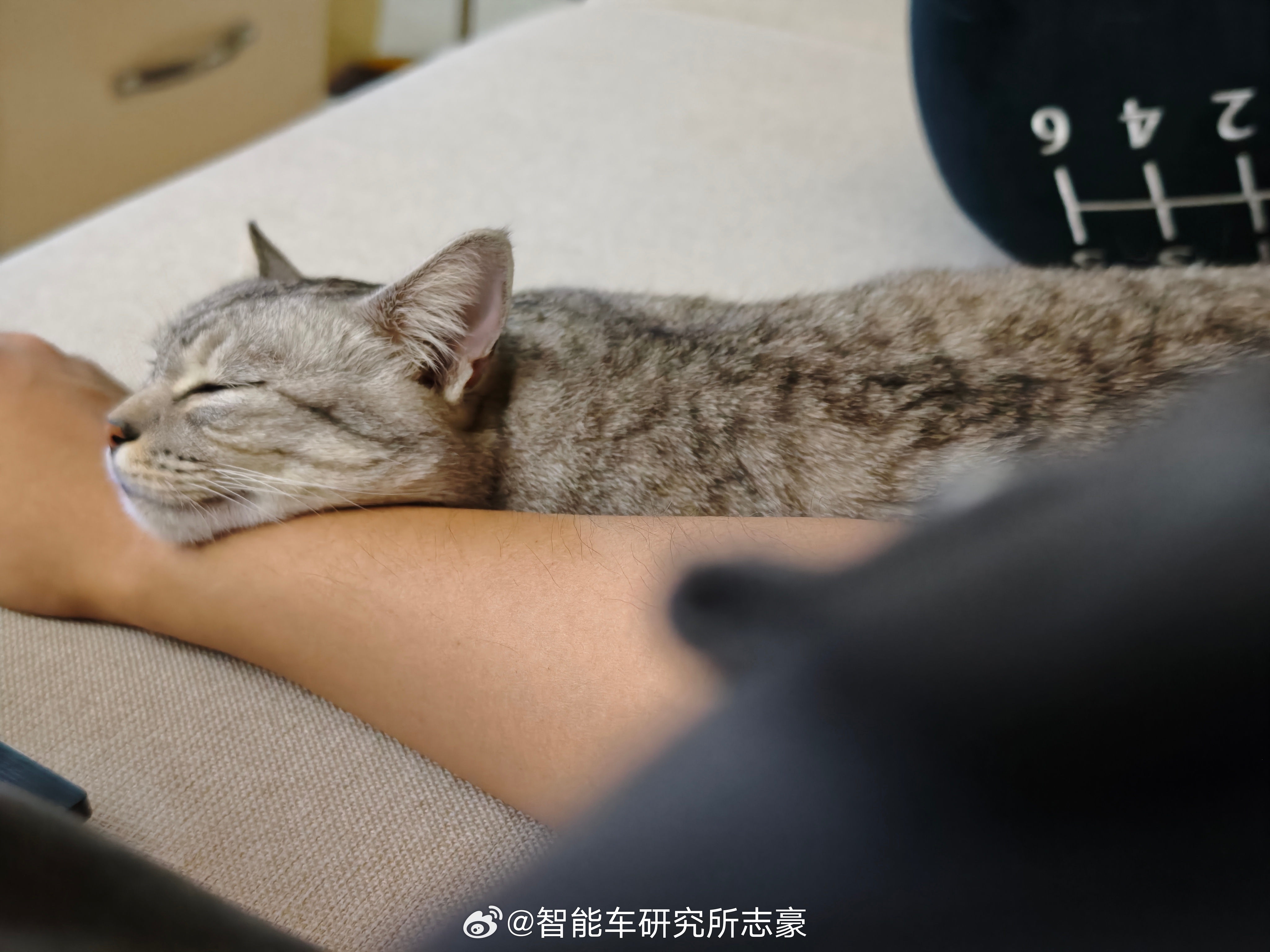 突然间，手腕一股暖意。小家伙很会享受嘛 