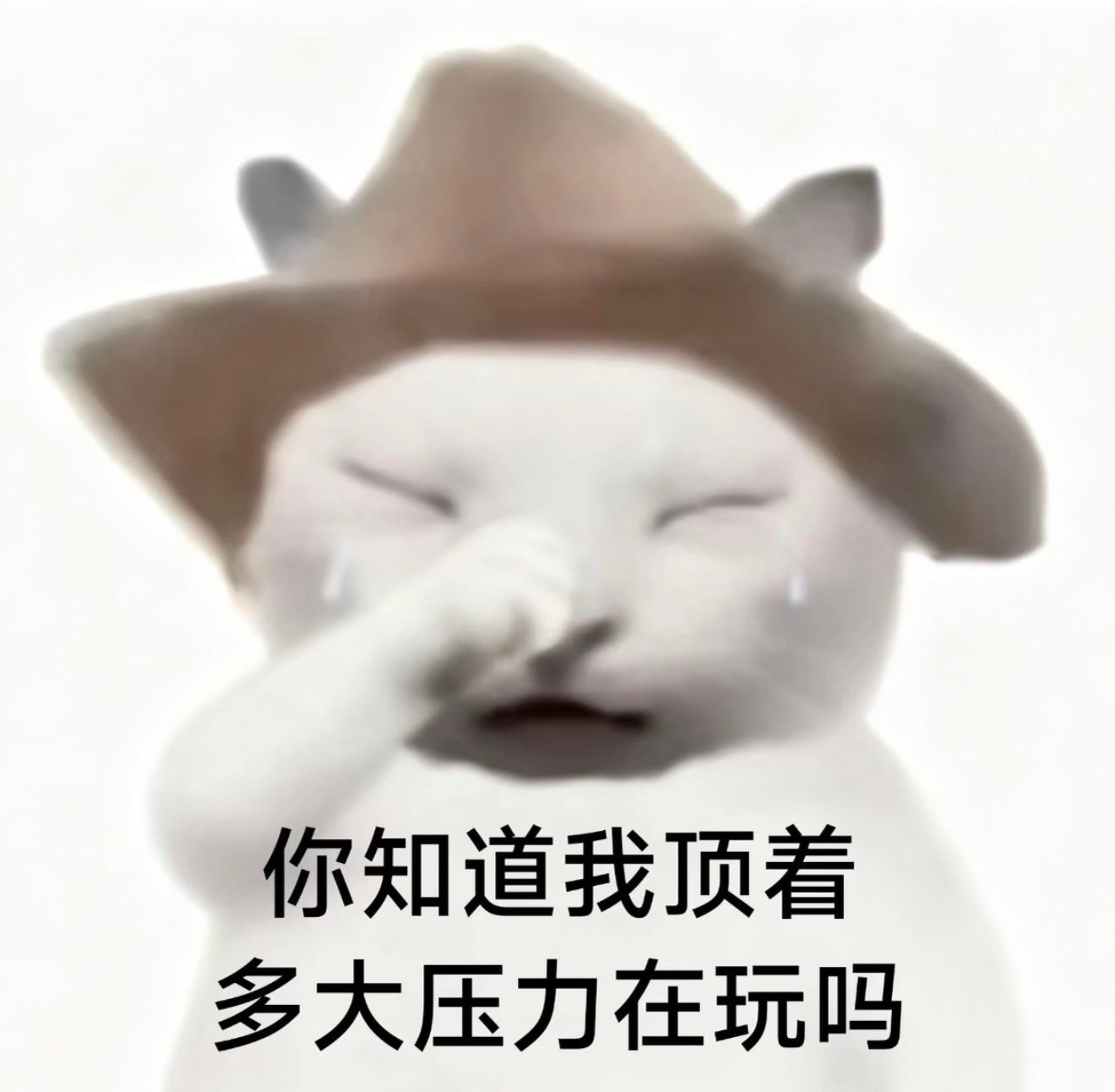 所以我们天才女友是真的快来了吗家人们