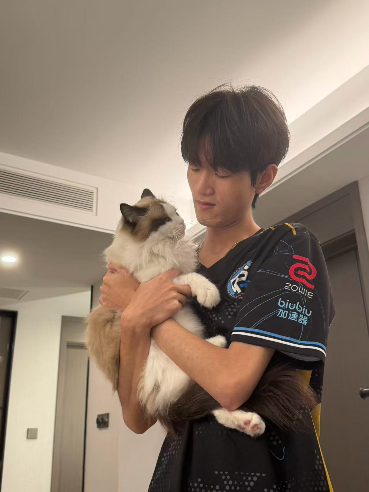 猫宁！我是明明，现在我正在打pgs决赛，每个人给明明捐赠1罐猫罐头就能助力比赛了