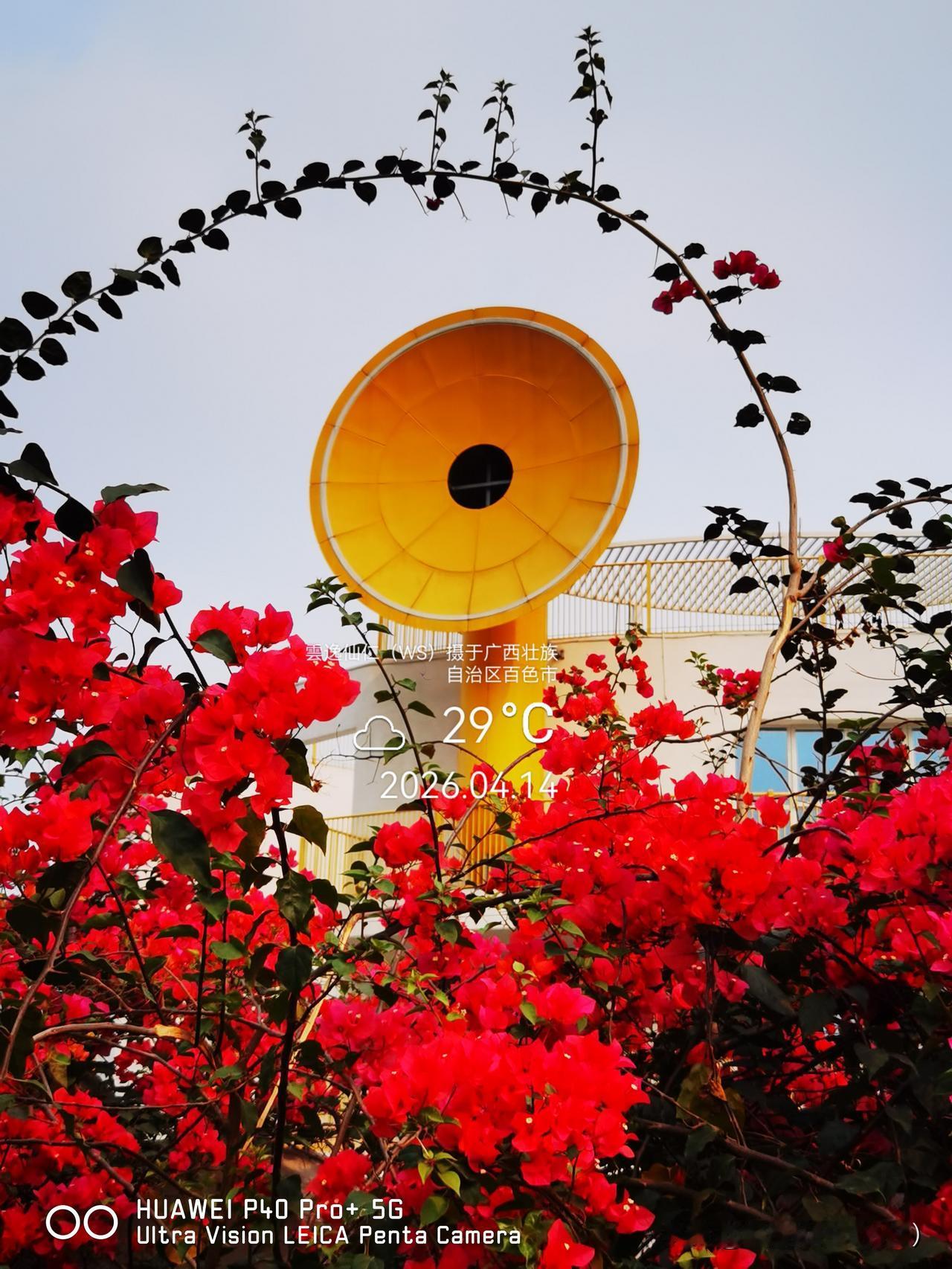 旅居生活记录（9534）广西壮族自治区百色市（220）花儿随拍19：圈中话筒、鸡