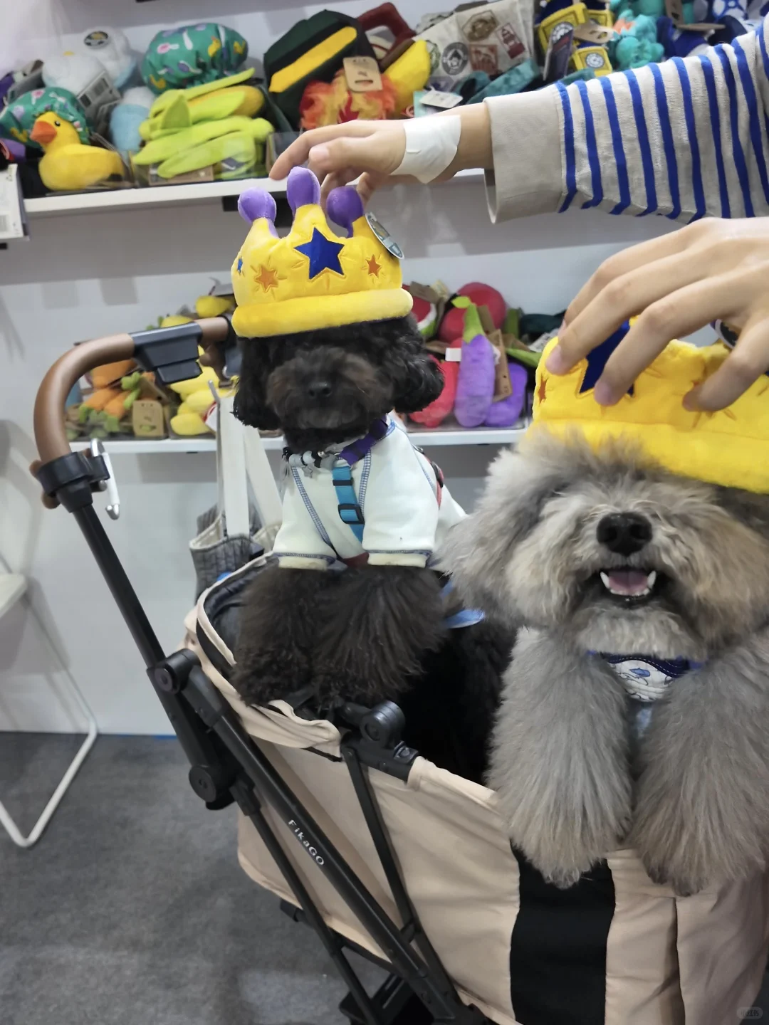 深圳亚宠华南展第一天