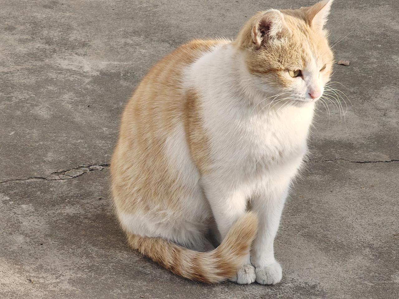 老家养老院越来越多了。



这几年发现养老院密度增大，甚至村里都开始有养老院了