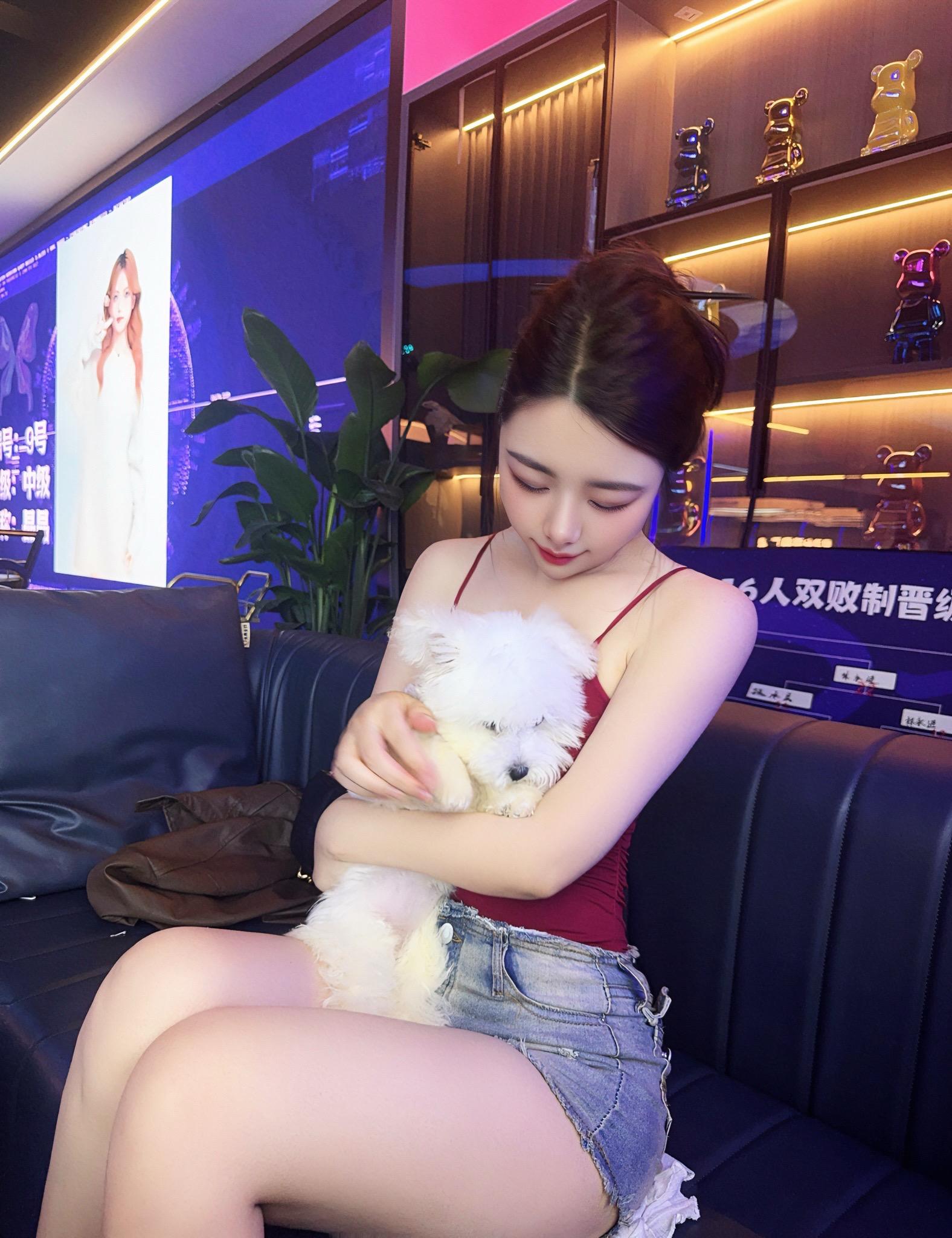 小狗治愈心情🐶