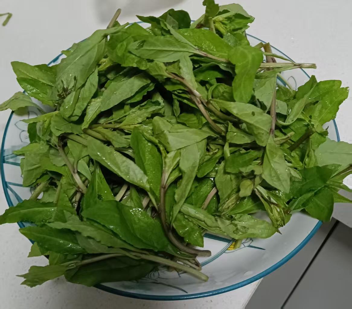 今天上午，去南京清凉门菜场买菜，既定的买菜目标，主打一个时令菜。转了一圈，感觉时