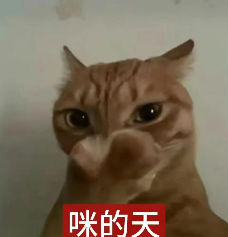 广东的天气真是有病 不穿外套就冷 穿了外套又热了[汗]
广州 广州天气