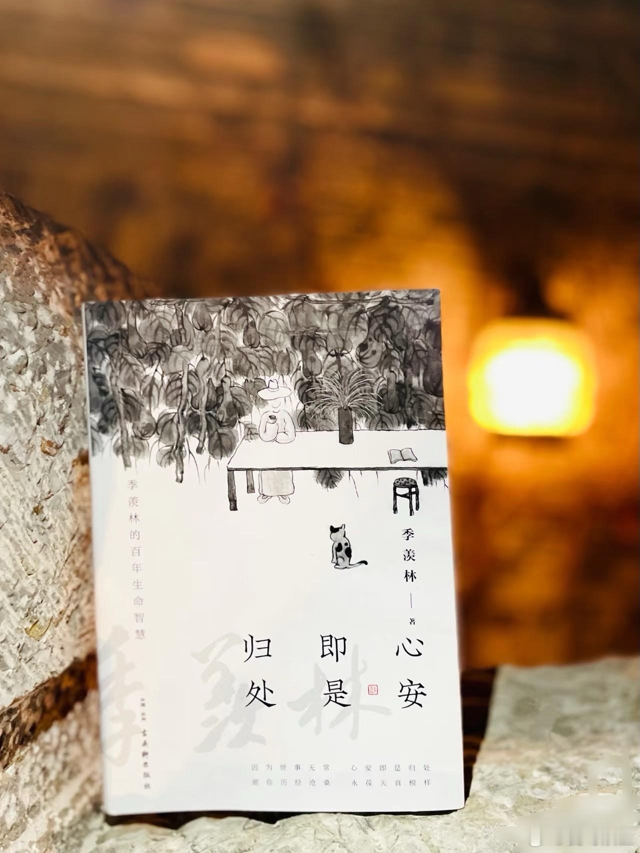 微博年度待改编ip评选pick你心中的改编潜力王 《心安即是归处》：当我停止寻找